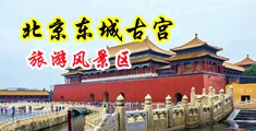 鸡巴好大逼太小了用力干我视频中国北京-东城古宫旅游风景区